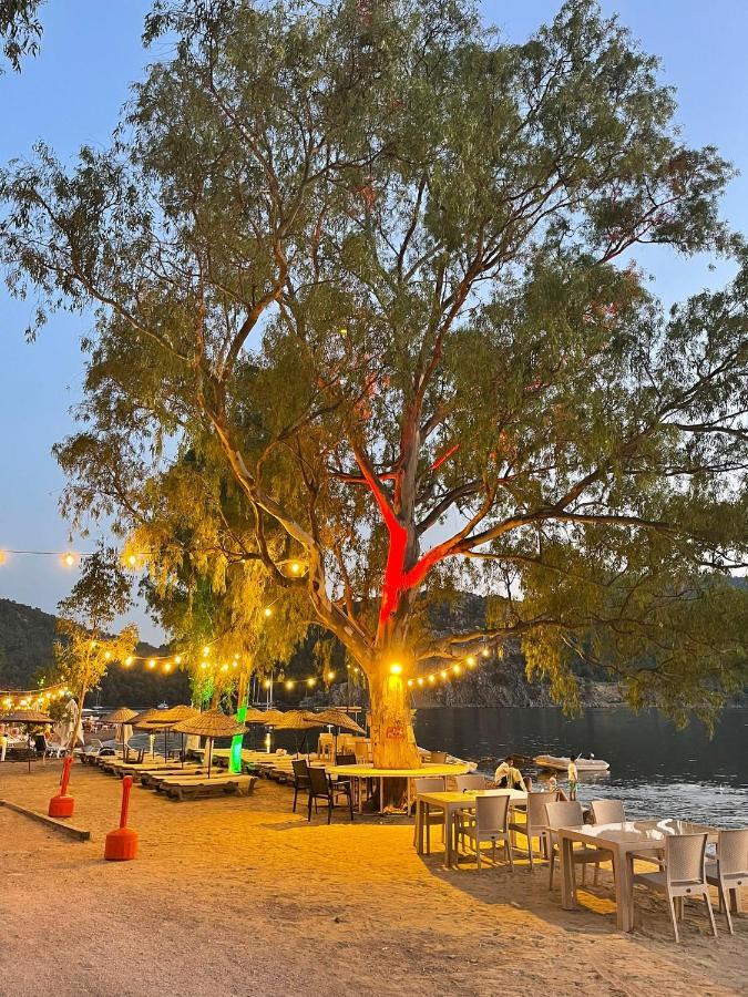 Marimare Beach & Bungalow Marmaris Exteriör bild